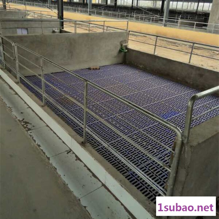 猪用塑料漏粪板 塑料漏粪板 饲养设备漏粪板图4