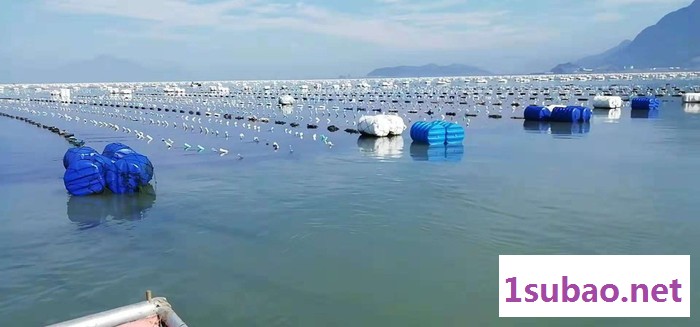 通佳 吹塑机塑料浮球养殖浮球养殖鱼排塑料浮球生产设备图3