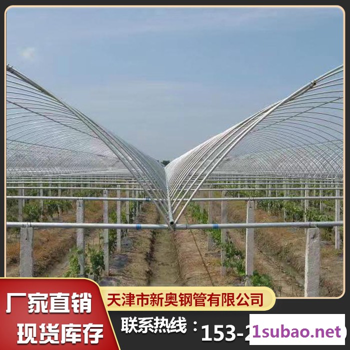 大棚骨架生产设备 塑料骨架大棚图2