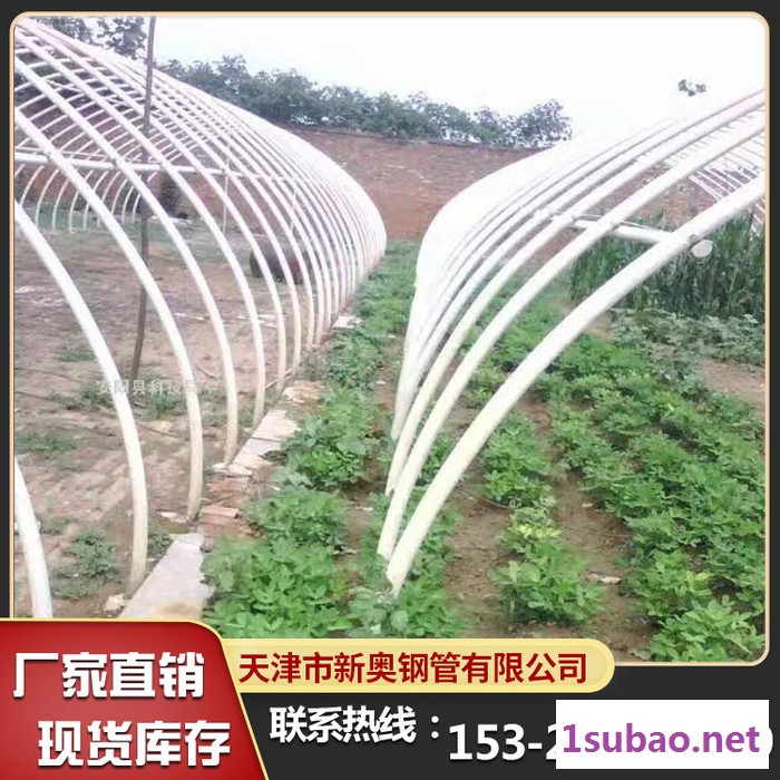 大棚骨架生产设备 塑料骨架大棚图3