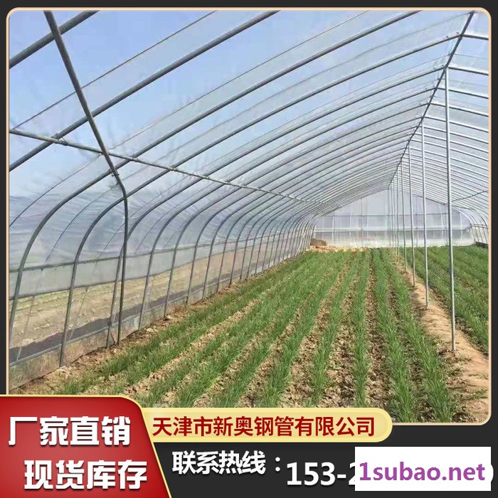 大棚骨架生产设备 塑料骨架大棚图5
