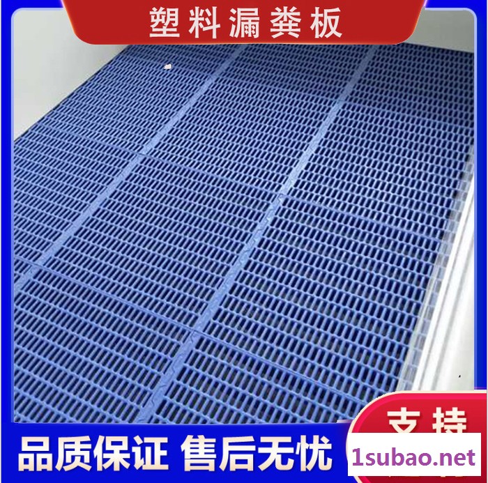 塑料漏粪板 猪用漏粪板塑料 养殖设备猪产床 支持定制图4