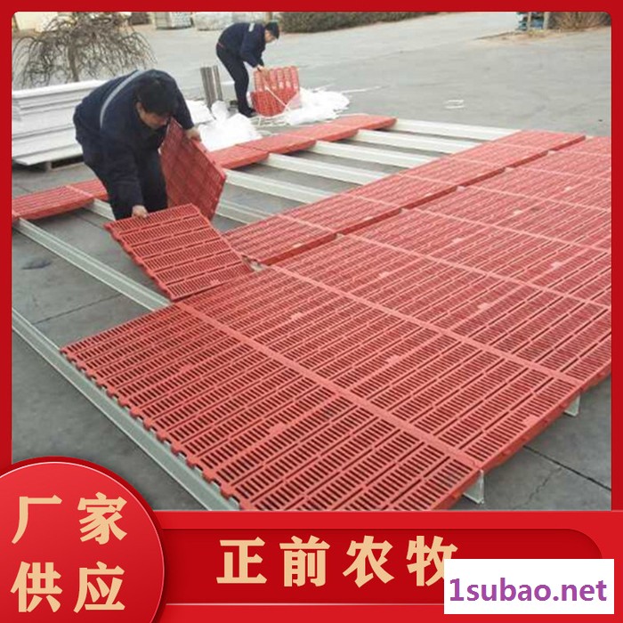 塑料漏粪板 猪用漏粪板塑料 养殖设备猪产床 支持定制图5