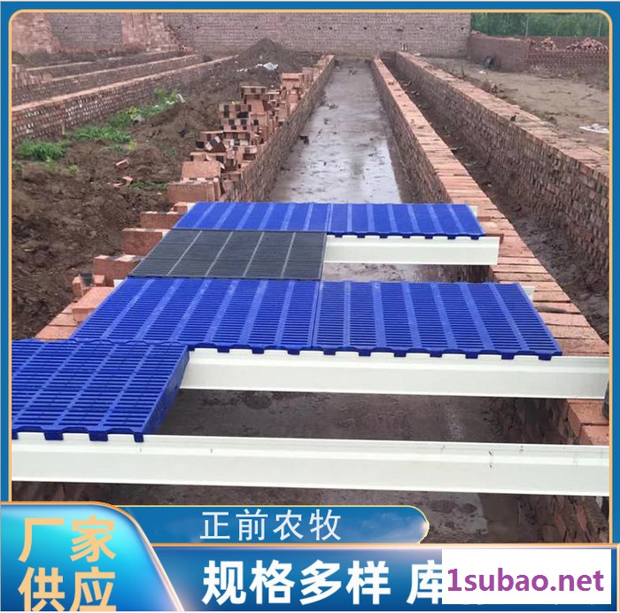 塑料漏粪板 猪用漏粪板塑料 养殖设备猪产床 支持定制图3