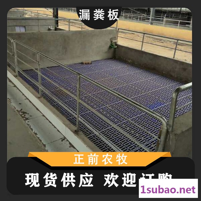 塑料漏粪板 猪用漏粪板塑料 养殖设备猪产床 支持定制图2