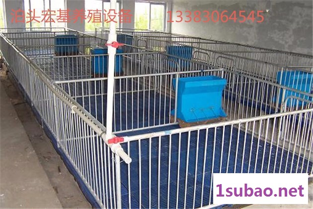 泊头宏基养猪设备厂供应 2100*3600 保育床  配件 塑料地板  欢迎订购图2