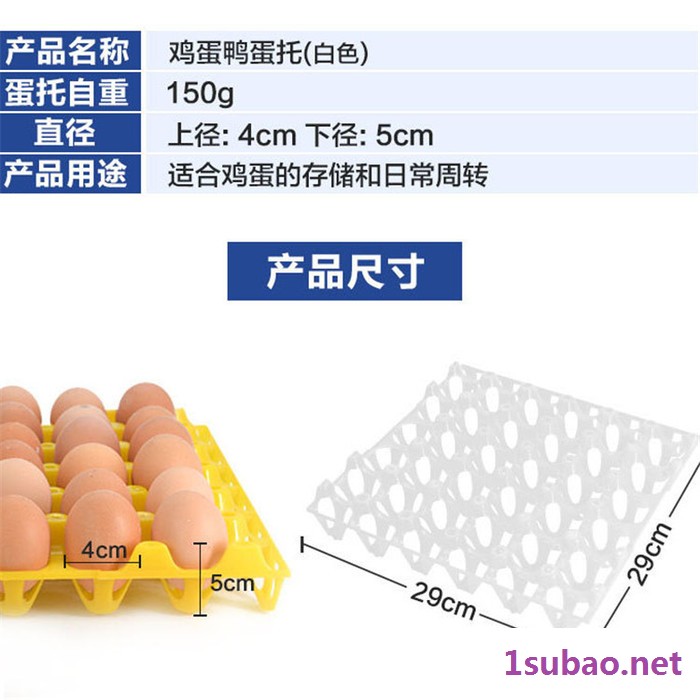 鸡蛋托盘 鸡蛋托 塑料托盘 养鸡设备图4