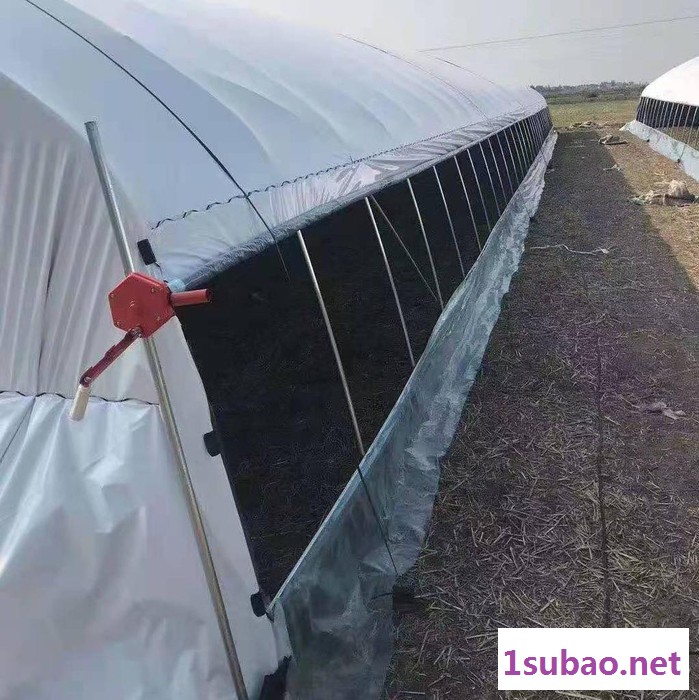 椭圆大棚管 塑料温室大棚骨架 大棚骨架生产设备 养殖大棚扁管图6