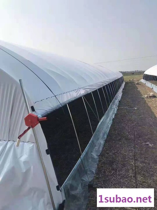 椭圆大棚管 塑料温室大棚骨架 大棚骨架生产设备 养殖大棚扁管图2