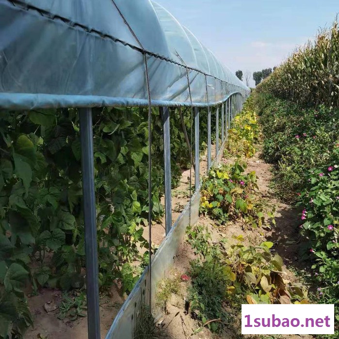 椭圆大棚管 塑料温室大棚骨架 大棚骨架生产设备 养殖大棚扁管图7