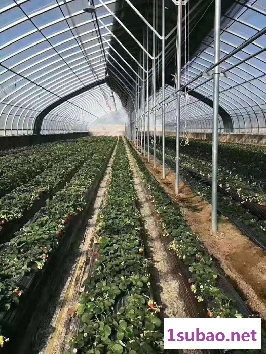 椭圆大棚管 塑料温室大棚骨架 大棚骨架生产设备 养殖大棚扁管图4
