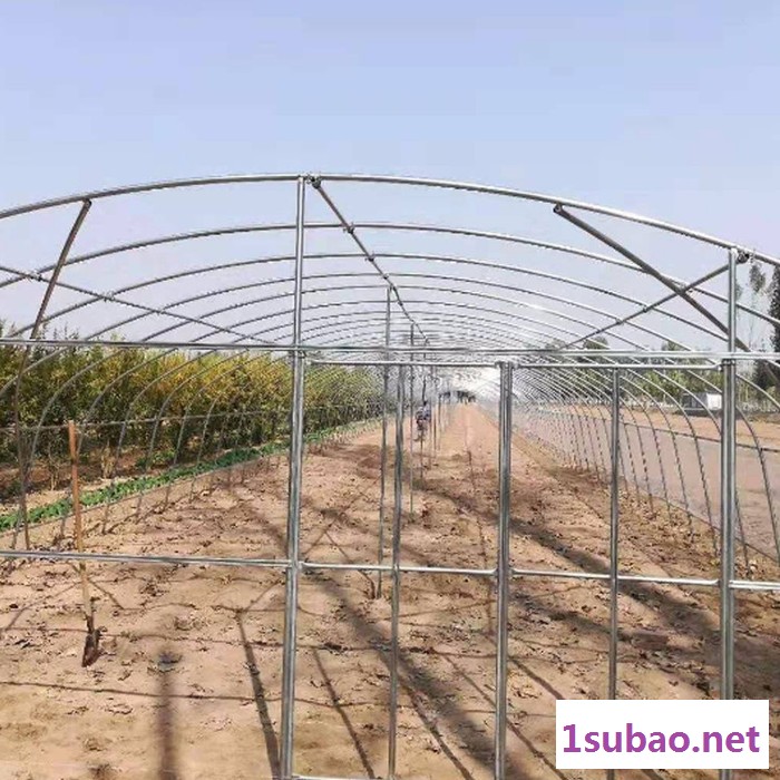大棚骨架生产设备 塑料大棚的骨架 蘑菇大棚镀锌扁管图6