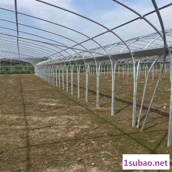 大棚骨架生产设备 塑料大棚的骨架 蘑菇大棚镀锌扁管图4