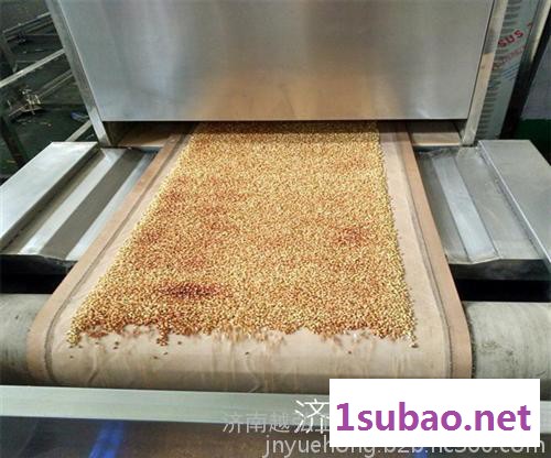 YH-15KW淀粉粉状物微波干燥灭菌设备 微波干燥设备图2