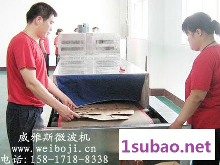 威雅斯新型纸托干燥设备图5