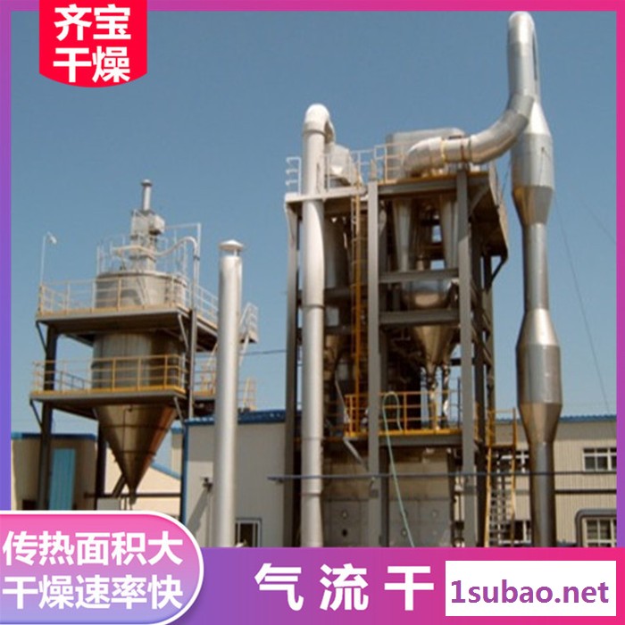 气流干燥机,脉冲气流干燥设备,气流式烘干机,强化气流干燥机图3