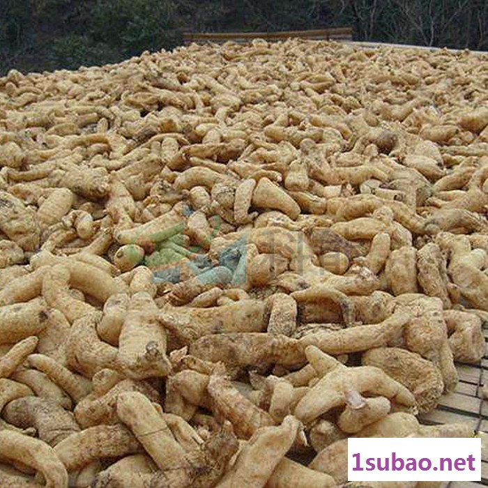 科能KN-145RD 天麻干燥设备 **图4