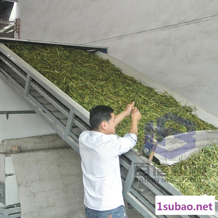 苜蓿草烘干机 大型连续天然牧草饲料 干燥机 快速带式干燥设备图3