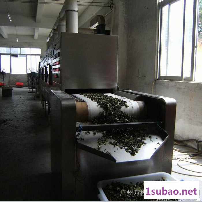 金银花微波干燥设备图2