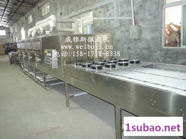 威雅斯微波干果乌梅烘干干燥设备图4