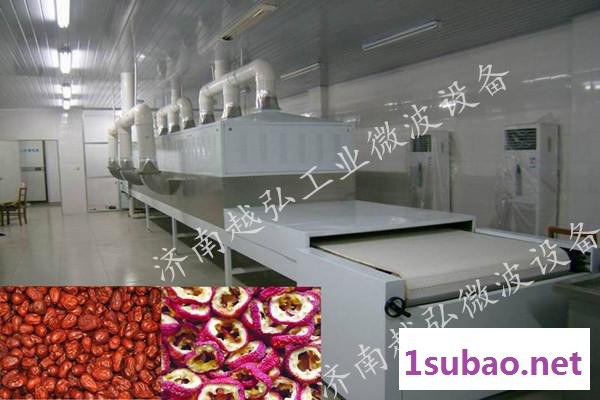 隧道式香菇微波干燥机 蔬果微波干燥脱水设备图3