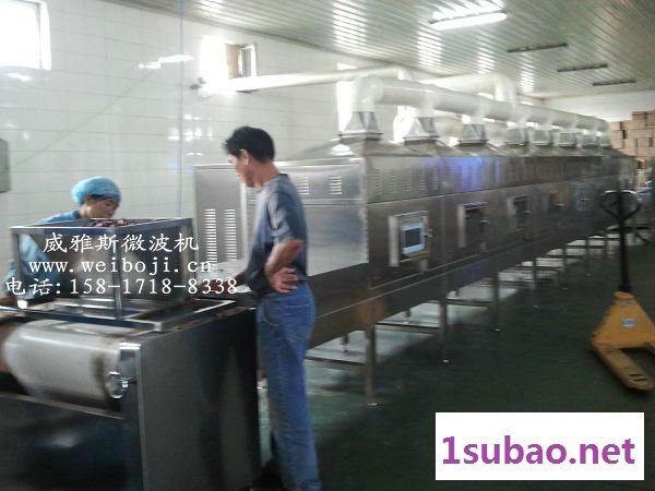 广州威雅斯芝麻酱干燥杀菌设备图3