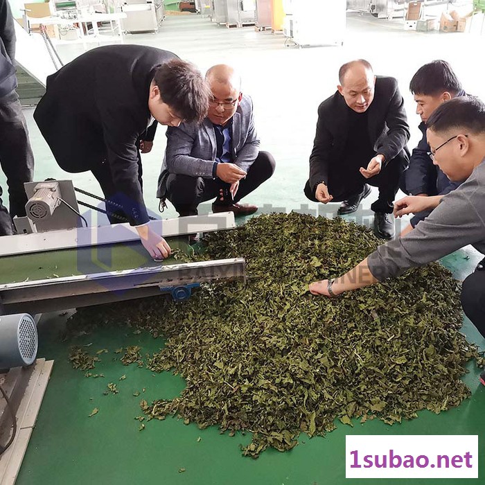 连翘干燥机 多层连续式中药材烘干机 大型连翘脱水干燥设备图4