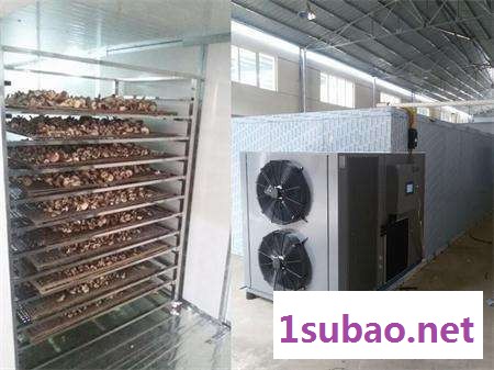 南洋DW1.6-8型 香菇烘干机 网带香菇烘干机 香菇干燥机 香菇干燥设备 带式香菇烘干机图3