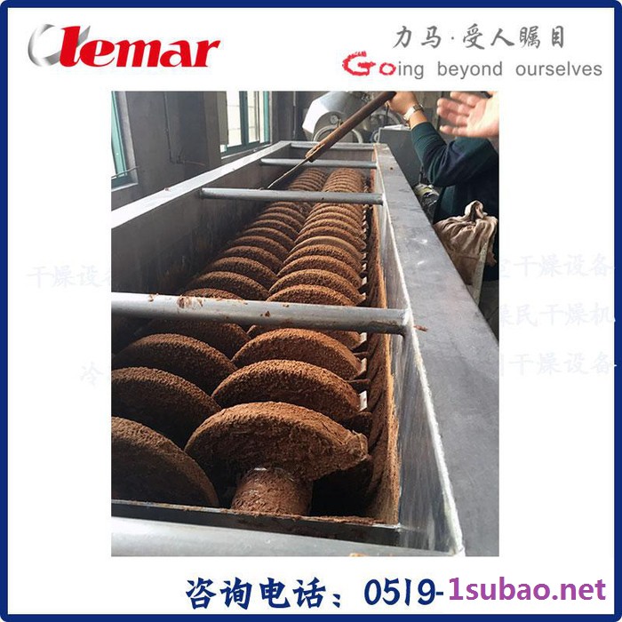 常州力马-KJG-250生活污泥干燥机、城市污泥干化设备、搅拌轴干燥、餐厨垃圾干化机图3