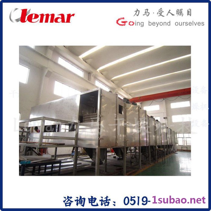 常州力马-南瓜粉生产设备、麦芽糊精干燥机、网带式干燥机DW3-1.6-10B图3