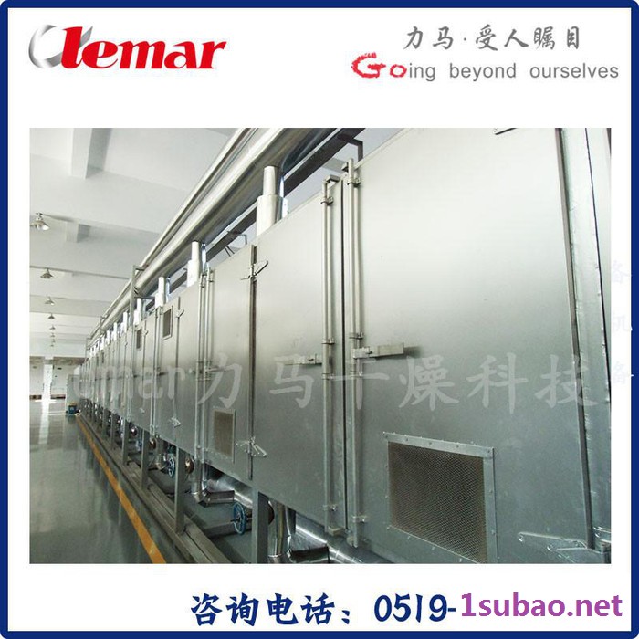 常州力马-南瓜粉生产设备、麦芽糊精干燥机、网带式干燥机DW3-1.6-10B图5