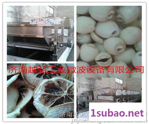 越弘50KW食品微波干燥杀菌机 农副产品微波烘干灭菌设备图7