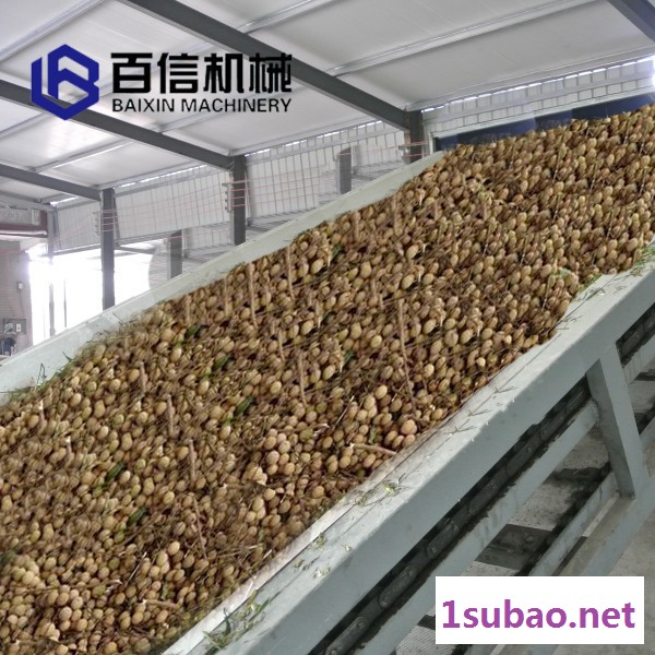 龙眼烘干机 网带式龙眼桂圆脱水干燥设备 大型多层连续式干燥机图2