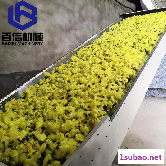 蔬菜脱水烘干设备 大型多层网带干燥机 脱水蔬菜加工生产线 脱水蔬菜干燥机图2