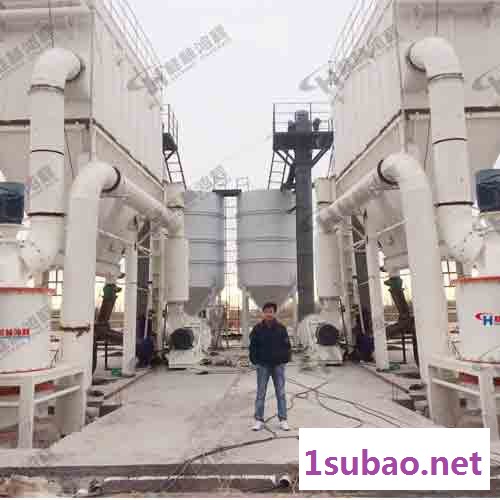 三环超细磨粉机粉碎600目重晶石环辊磨粉机图4