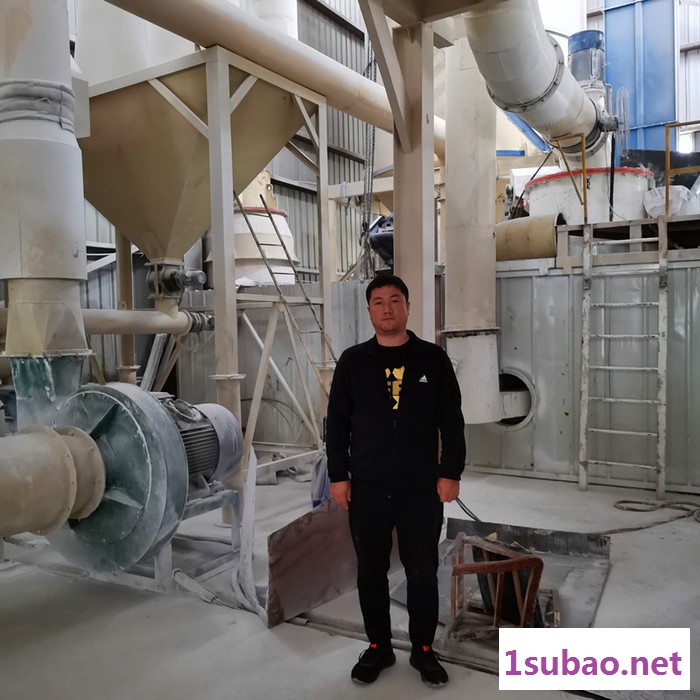 佰沃重工生石灰石墨雷蒙超细磨粉机 1200目石膏炭黑超细环辊磨粉机厂家图4