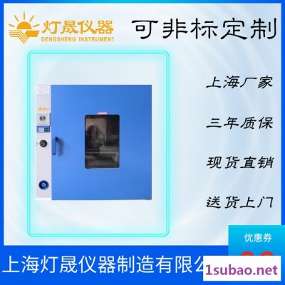 防爆烘箱BGX-198 上海厂家现货直销 非标定制定做 防爆干燥箱 箱体设备