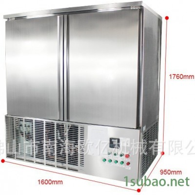 低溫速凍柜 650升餃子包子速凍冷藏箱 兩門商用速凍機冷凍機