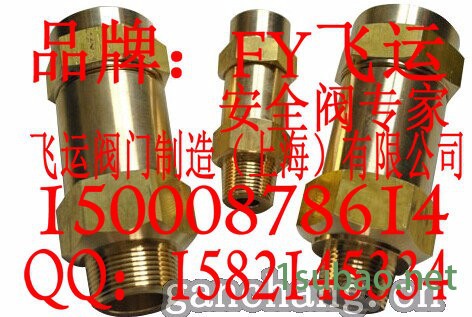FY飞运11HH22MU-TF-冷冻机安全阀安全阀图4