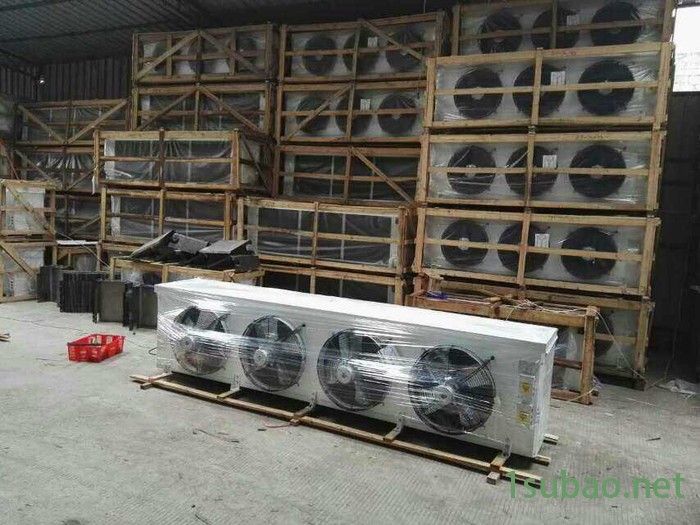德国比泽尔机组4GE-23水果制冷压缩机冷库机组4NES-20食品风冷凝器冷冻机组图4