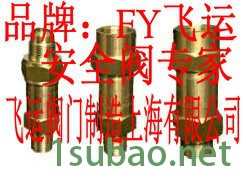 FY飞运冷冻机安全阀11EE11MN-TF安全阀图4