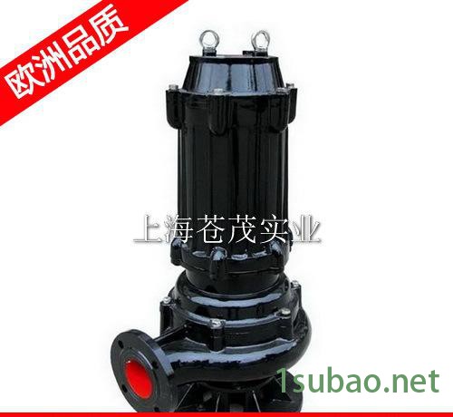 潜污泵及自动耦合装置 潜污泵价格 WQ100-110-10-5.5型 轻便图2