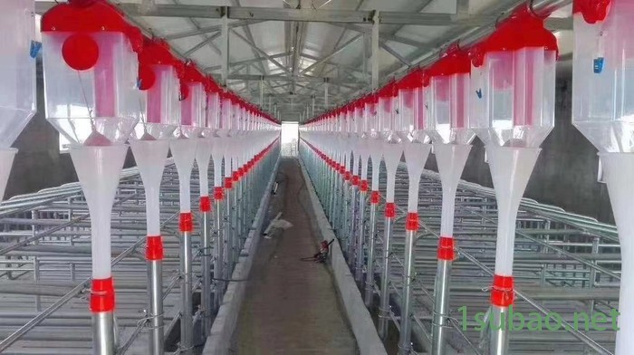 星恒机械热镀锌自动供料塔 保育肥产床料线中大型养猪场养殖设备现代化饲养*图3