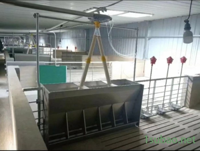 星恒机械热镀锌自动供料塔 保育肥产床料线中大型养猪场养殖设备现代化饲养*图5