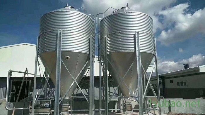 星恒机械热镀锌自动供料塔 保育肥产床料线中大型养猪场养殖设备现代化饲养*图8