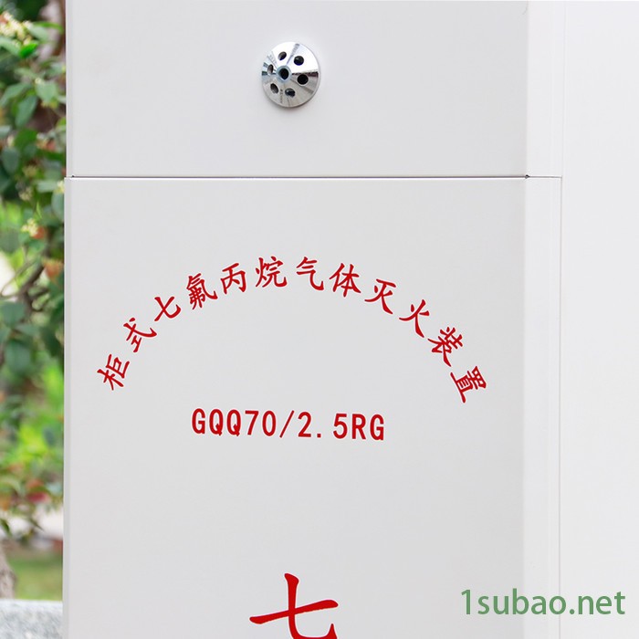 计算机房灭火系统瑞港无管网七氟丙烷气体灭火装置双瓶自动灭火系统图4