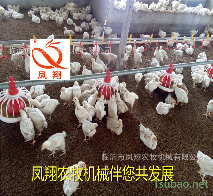 定做绞龙料线 养鸡自动喂料设备 肉鸡供料自动化料线图2