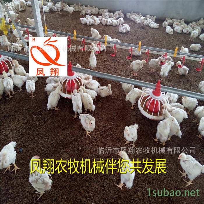 定做绞龙料线 养鸡自动喂料设备 肉鸡供料自动化料线图3