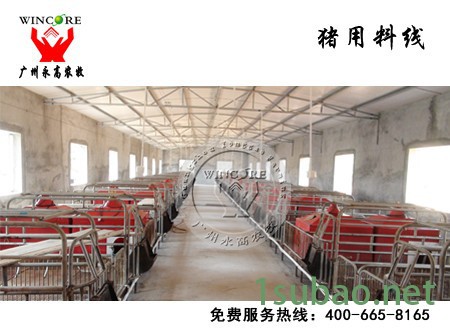 猪用自动化料线_猪场自动化养猪设备_猪用供料系统_永高农牧图3
