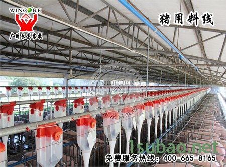 猪用自动化料线_猪场自动化养猪设备_猪用供料系统_永高农牧图2